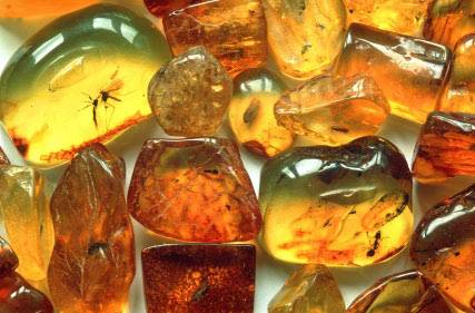 amber gemstone